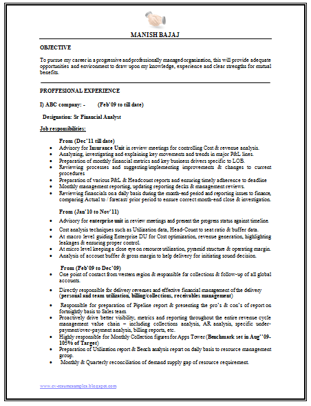 Resume format for finance manager in india